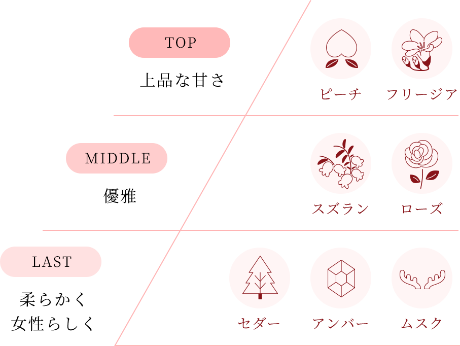 香りの特徴 イメージ