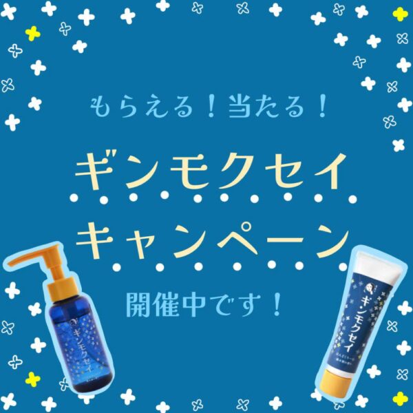 7月19日(水)～ギンモクセイキャンペーン順次開始